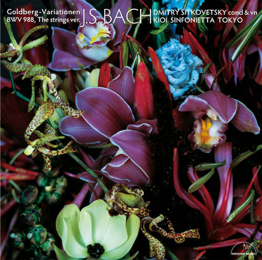 公翁⋯好舒服⋯好紧欧美
